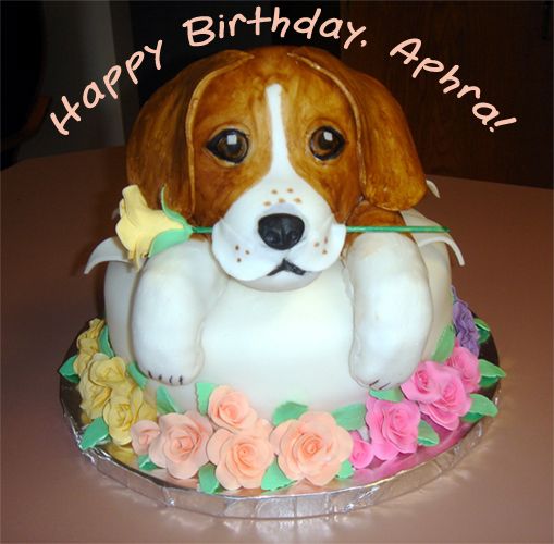 image of a beagle cake with text reading HAPPY BIRTHDAY, APHRA!