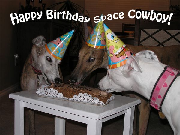 image of three greyhounds in party hats eating a doggy birthday cake, to which I've added text reading: 'Happy Birthday, Space Cowboy!'