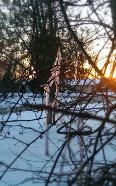 image of icicles glowing pinky-orange from the sunset behind