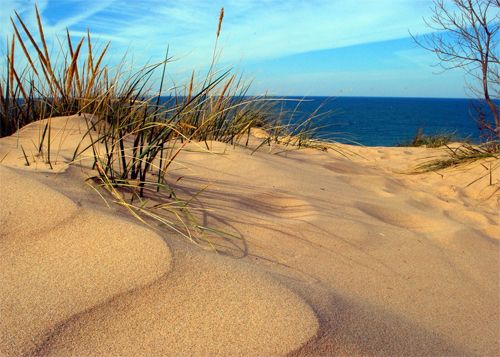 image of the Indiana Dunes along Lake Michigan