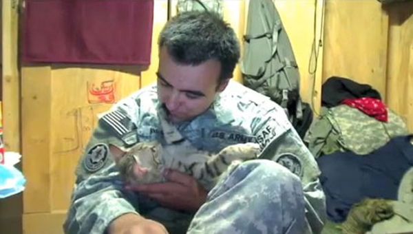 image of Staff Sgt. Knott holding Koshka the Cat, who is reaching out his paw and touching Knott's face