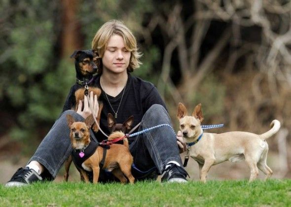 image of a white teenage boy sitting in the grass with four small dogs