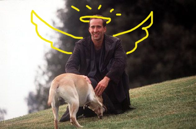 image of Nic Cage from the movie City of Angels, with a dog