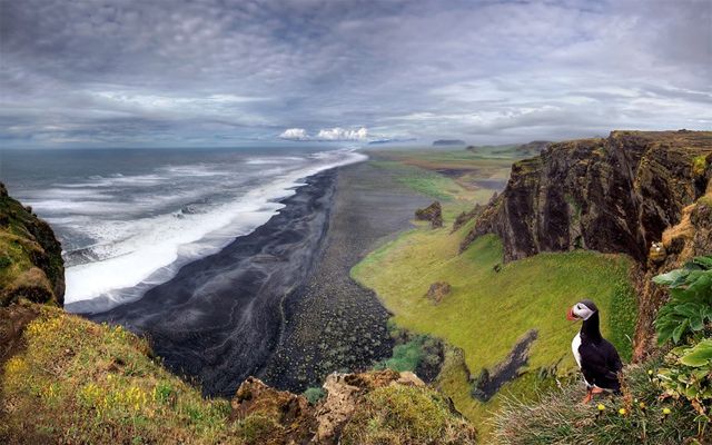 image of a solitary puffin, a black and white sea bird with an orange beak, standing on a cliff overlooking a beautiful landscape