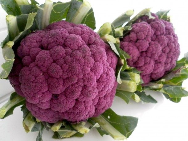 image of purple cauliflower