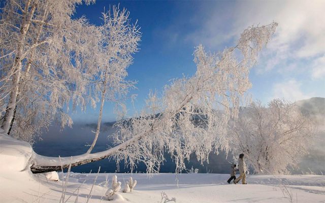 a white winterscape on a sunny winter day in Russia