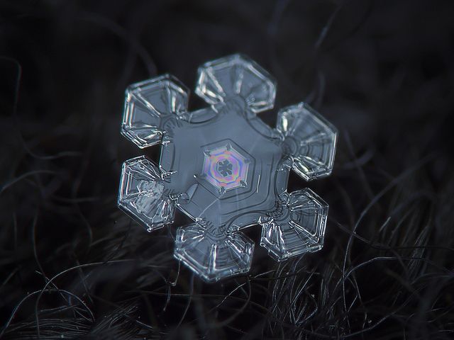 an extremely close-up image of an individual snowflake