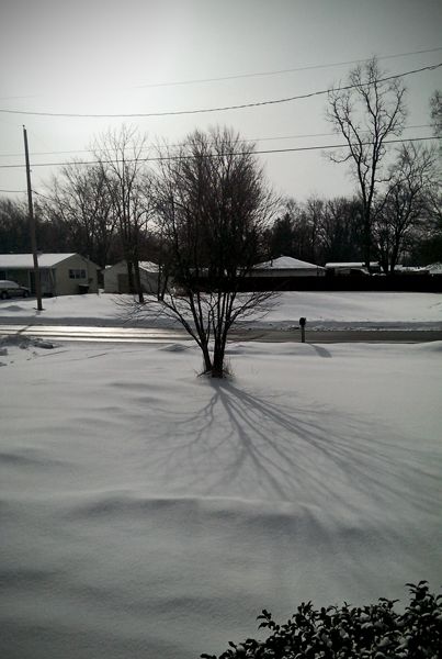 image of the shadow of a bare tree cast across the snow in my front yard