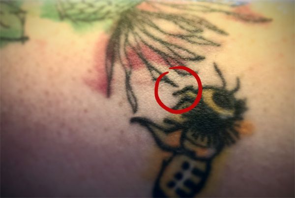 image of part of my tattoo, with the part where the bee's legs are just nearly but not quite touching the thistle encircled in red