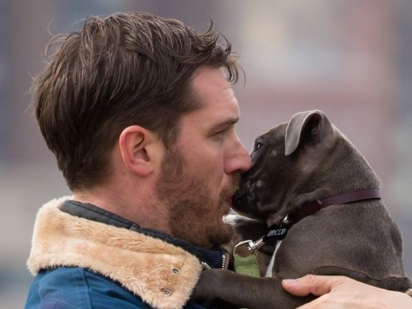 image of actor Tom Hardy, a young white man, kissing a grey pit bull puppy that he is holding in his arms