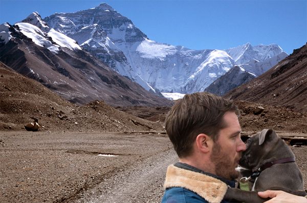 actor Tom Hardy kissing a grey pit bull puppy on the muzzle in front of Mt. Everest