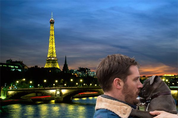 image of Tom Hardy kissing a grey pit bull puppy on the nose with the Eiffel Tower in the background
