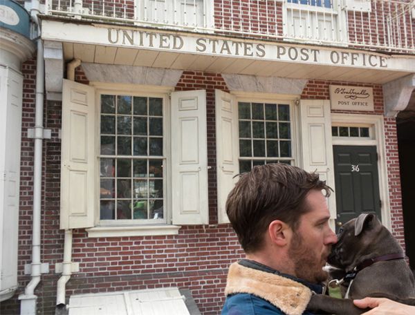 image of actor Tom Hardy and a grey pit bull puppy on the muzzle in front of a Philadelphia post office