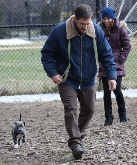 image of actor Tom Hardy, a young white man, running alongside an impossibly tiny grey pit bull puppy, while actress Noomi Rapace, a young white woman, watches with a smile