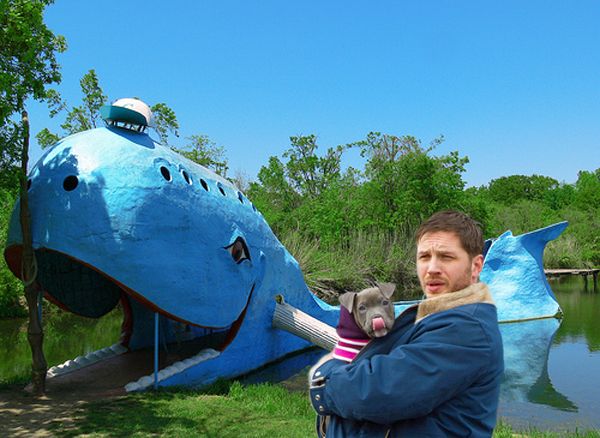 actor Tom Hardy standing in front of a giant blue whale, which is a famous piece of local folk art, holding in his arms a grey pit bull puppy licking its nose