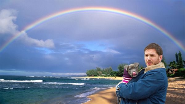image of actor Tom Hardy and a grey pit bull puppy licking its nose, standing on a Hawaiian beach with a rainbow arcing across the sky above them