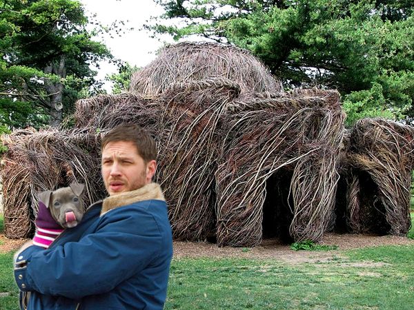 image of actor Tom Hardy holding a grey pit bull puppy licking its nose, standing in front of a building sculpted out of the surrounding environment