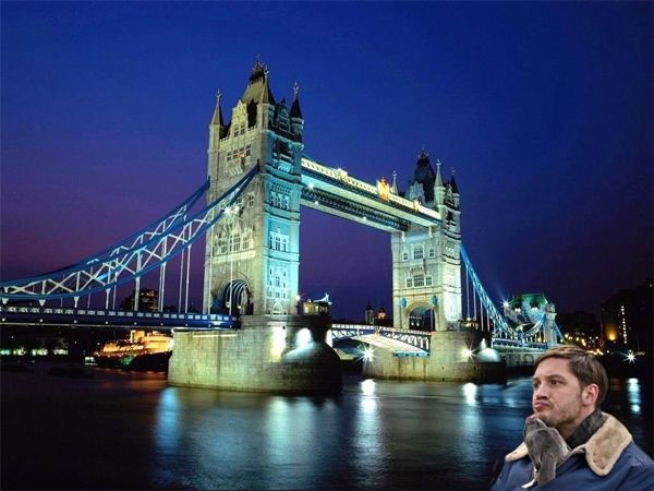 actor Tom Hardy and a grey pit bull puppy pictured in front of the Tower Bridge in London, lit up at nighttime