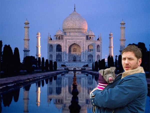 image of Tom Hardy and a grey pit bull puppy at the Taj Mahal
