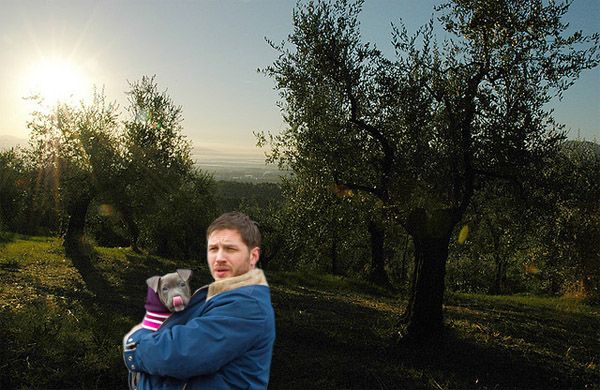 image of actor Tom Hardy holding a grey pit bull puppy in his arms, standing in an olive orchard in Tuscany, Italy