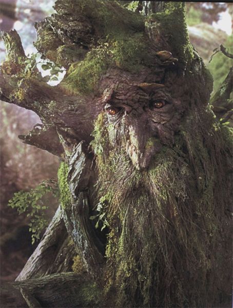 image of Treebeard the Ent, from Lord of the Rings