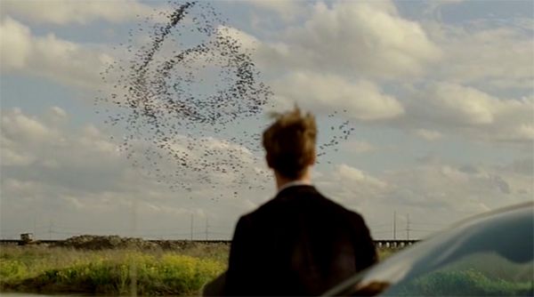 image of Matthew McConaughey looking at birds flying in a pattern from an episode of True Detective