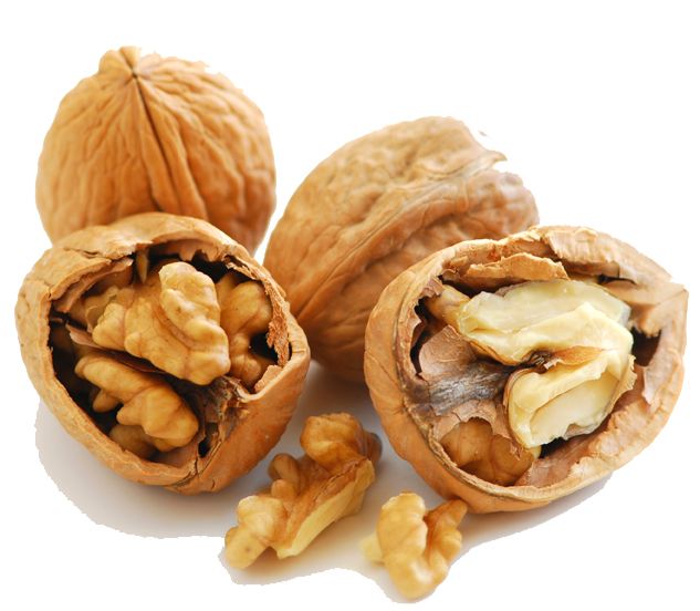 image of walnuts
