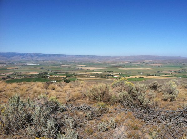 image of the desert outside Yakima