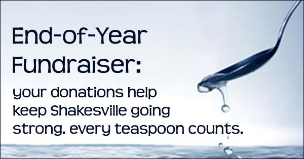 image of a teaspoon drawing water from an ocean, with text reading: End-of-Year Fundraiser: Your donations help keep Shakesville going strong. Every teaspoon counts.
