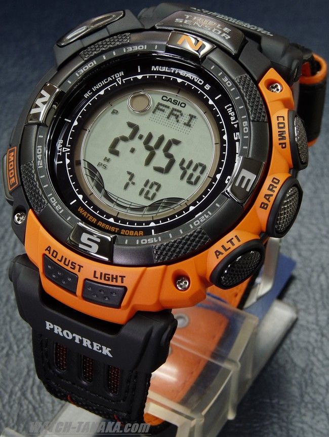 casio paw