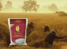 Stefanie Sun New Moon Premium Fragrant Rice Ad 9.