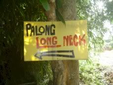 Palong Long Necked.