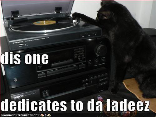 funny pictures cat dedicates a song dj cat