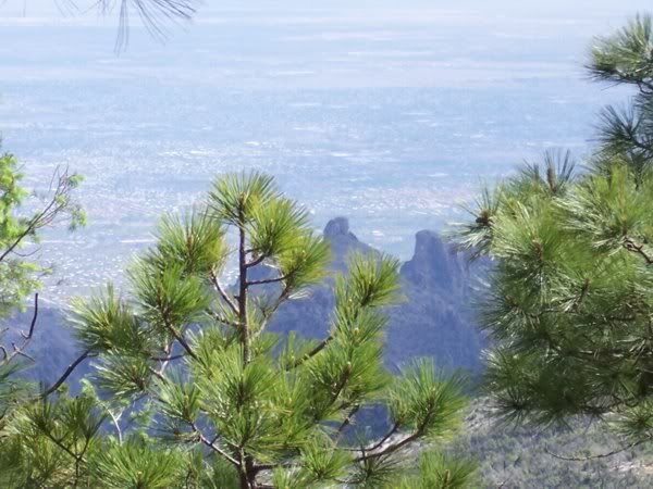 ViewofTucsonFromSpencerCanyon.jpg