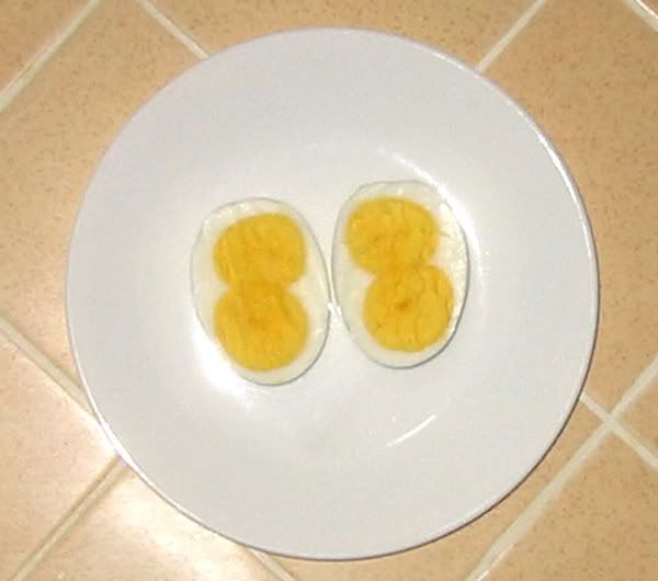 double yolk