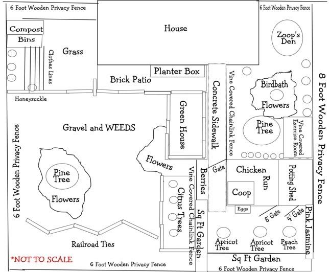 Home and garden chicken coop plans [] Tutor
