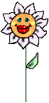 Bloomingsunflower.gif