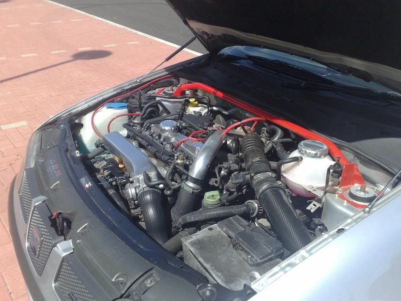 cupra4.jpg