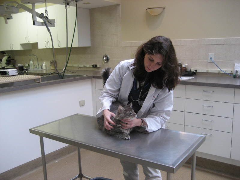 Dr.Rubensteinexamination Dr.Rubensteinexamination