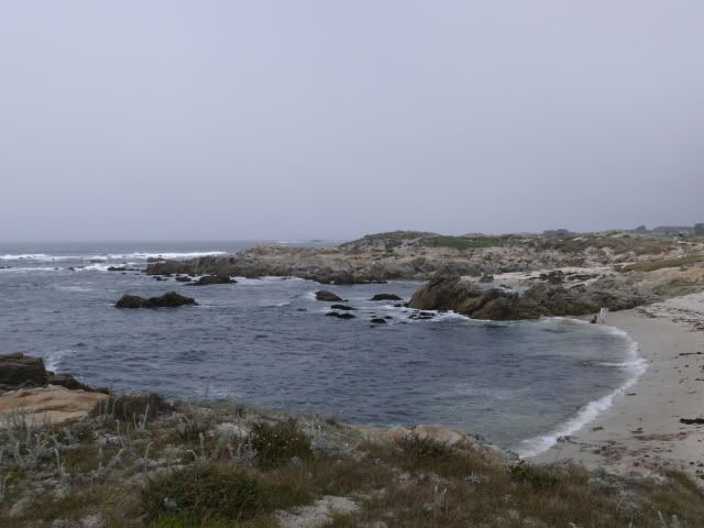 One of the little beaches