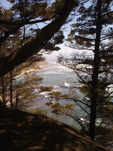 Fitzgerald Marine Reserve Overlook