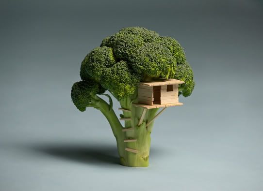 Broccoli House, http://www.itistheworldthatmadeyousmall.com/projects/broccoli-house/