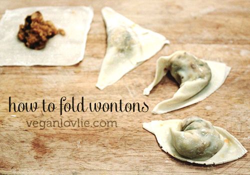 folding_wontons