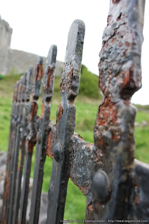 iron gate, wabi-sabi