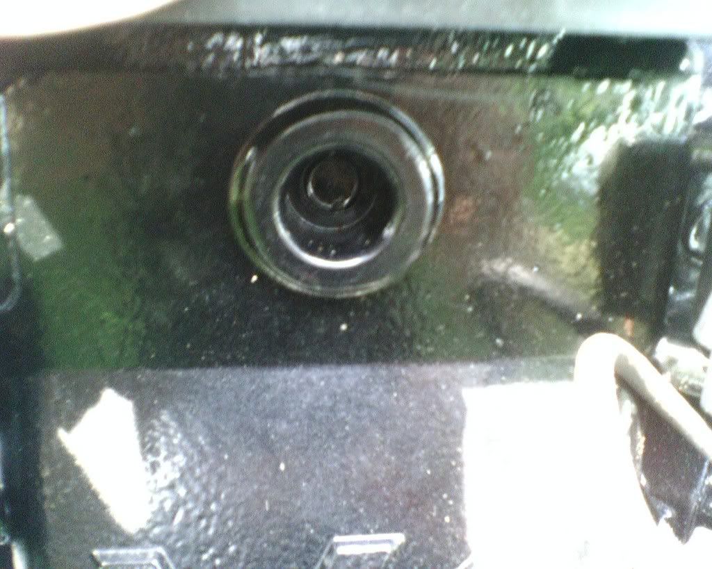 IMG00161.jpg