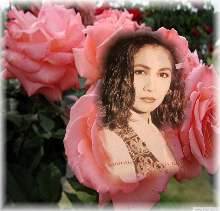 ana_con_sus_rosas.jpg picture by anagabrielfansclub