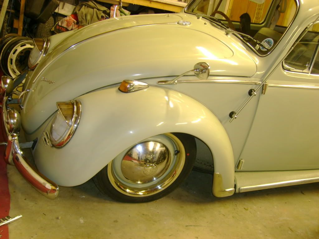 http://img.photobucket.com/albums/v644/horty2/bug/DSC02505.jpg