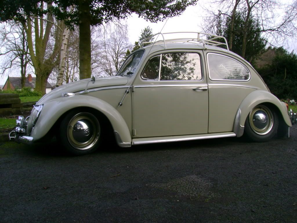 http://img.photobucket.com/albums/v644/horty2/bug/DSC02639.jpg