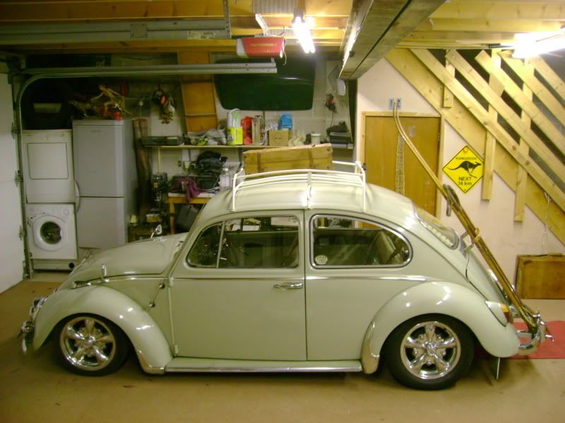 http://img.photobucket.com/albums/v644/horty2/bug/DSC03692.jpg