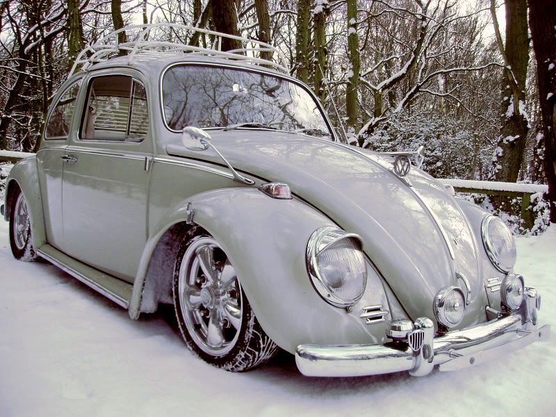 http://img.photobucket.com/albums/v644/horty2/bug/bug.jpg http://img.photobucket.com/albums/v644/horty2/bug/bug.jpg
